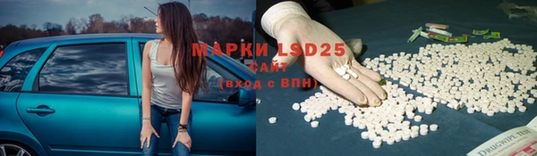 молекула духа Няндома