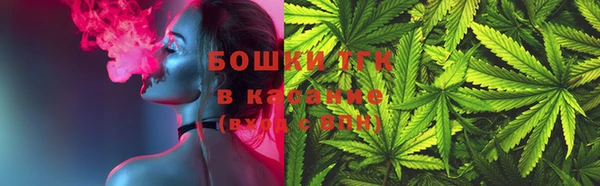 шишки Алексин