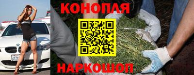 сатива Лесосибирск