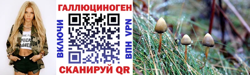 Псилоцибиновые грибы MAGIC MUSHROOMS Кемерово