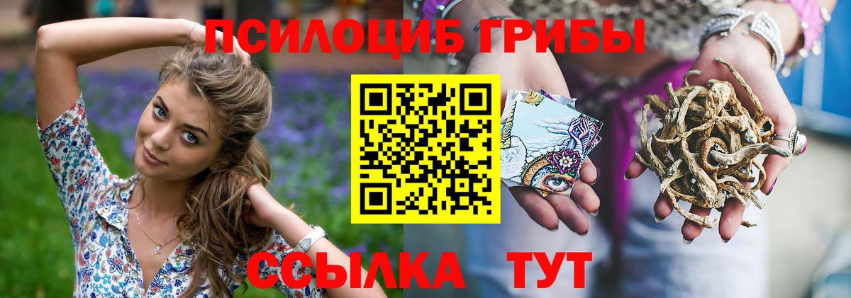 Галлюциногенные грибы GOLDEN TEACHER Кемерово